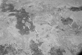 Formation viewed from above